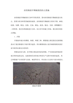 沥青路面早期破损的防止措施5.docx
