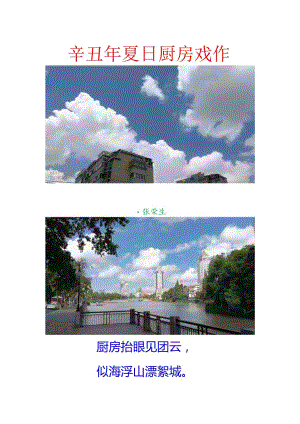 辛丑年夏日厨房戏作.docx