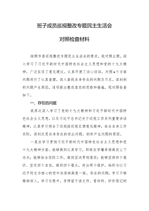 班子成员巡视整改专题民主生活会对照检查材料.docx