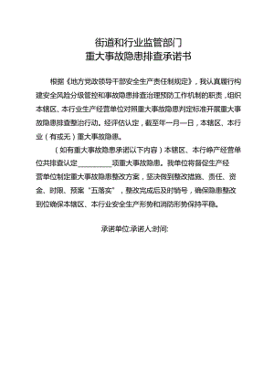 重大事故隐患排查承诺书（监管部门）.docx