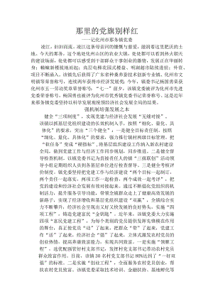 那里的党旗别样红.docx