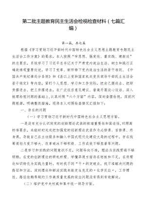 第二批专题教育民主生活会检视检查材料（七篇汇编）.docx