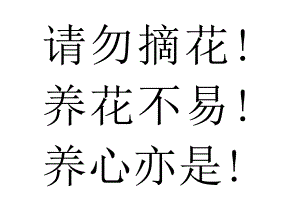 请勿摘花.docx