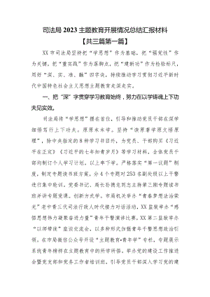 （3篇）司法局2023主题教育开展情况总结汇报材料.docx