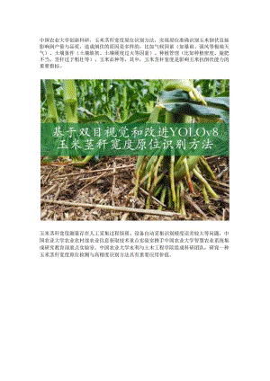 玉米茎秆宽度原位识别方法.docx
