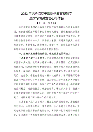 纪检监察干部队伍教育整顿心得体会-共二篇.docx
