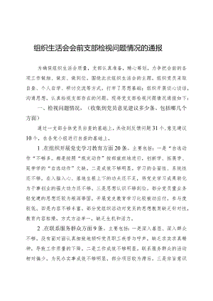 组织生活会会前支部检视问题情况的通报..docx