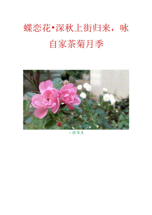 蝶恋花-深秋上街归来咏自家茶菊月季.docx