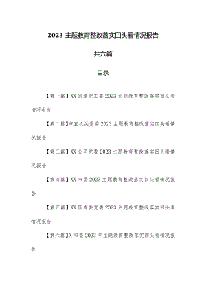 （6篇）2023主题教育整改落实回头看情况报告.docx