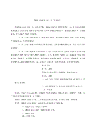 网络公司管理手册范例.docx