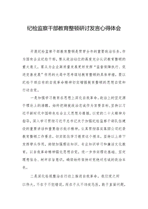 纪检监察干部教育整顿研讨发言心得体会材料.docx