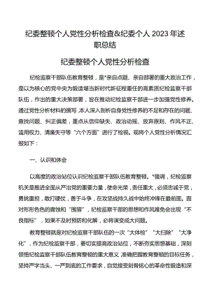 纪委整顿个人党性分析检查&纪委个人2023年述职总结.docx