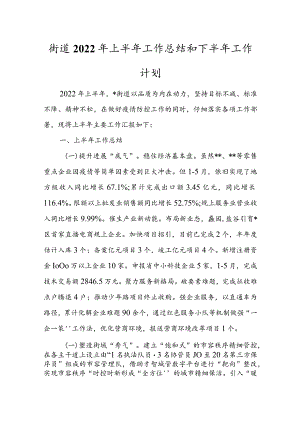 街道2022年上半年工作总结和下半年工作计划.docx