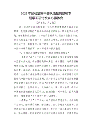 纪检监察干部队伍教育整顿心得体会-共计2篇.docx