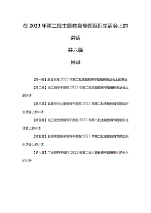 （6篇）在2023年第二批主题教育专题组织生活会上的讲话.docx