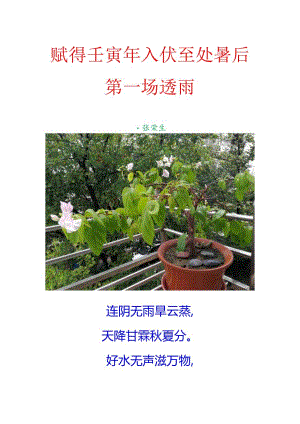 赋得壬寅年入伏至处暑后第一场透雨.docx