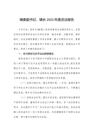 镇委副书记、镇长2023年度述法报告五篇.docx