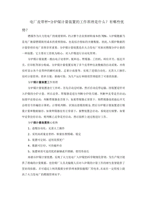 电厂皮带秤-分炉煤计量装置的工作原理是什么？有哪些优势？.docx
