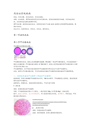 病理学15.内分泌系统疾病.docx