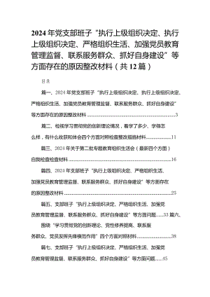 2024年党支部班子“执行上级组织决定、执行上级组织决定、严格组织生活、加强党员教育管理监督、联系服务群众、抓好自身建设”等方面存在.docx
