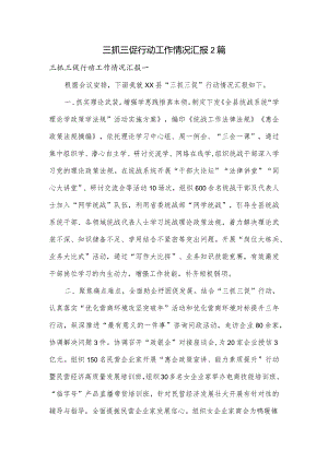 三抓三促行动工作情况汇报2篇.docx