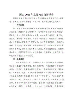 2篇国企公司2023-2024年主题教育开展情况自评报告.docx