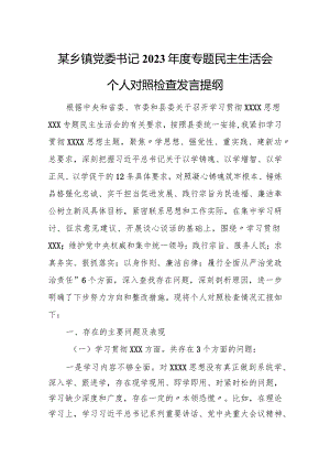 某乡镇党委书记2023年度专题民主生活会个人对照检查发言提纲.docx
