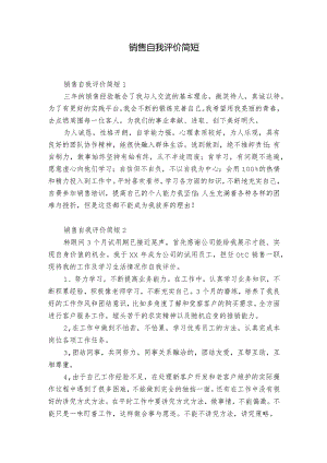 销售自我评价简短.docx