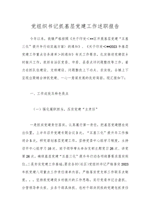 党组织书记抓基层党建工作述职报告.docx