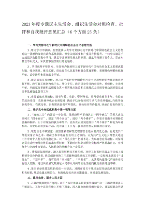 2023年度专题民主生活会、组织生活会对照检查、批评和自我批评意见汇总（6个方面25条）.docx
