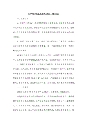 农村综合改革试点项目工作总结.docx
