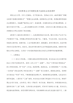 街道聚焦生态环境建设提升监督执法效能调研.docx