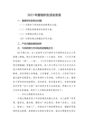 2篇纪检监察干部2023-2024年度组织生活会四个方面检视个人对照检查发言.docx