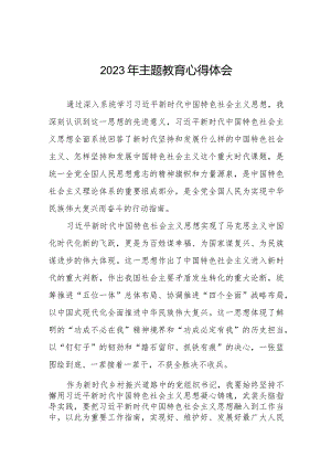 村支部书记第二批主题教育的心得感悟八篇.docx