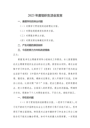 2篇支部书记2023-2024年度组织生活会四个方面班子成员个人对照检查发言.docx