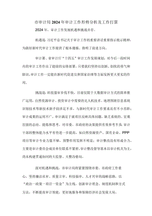 市审计局2024年审计工作形势分析及工作打算.docx