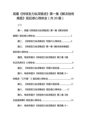 观看《持续发力纵深推进》第一集《解决独有难题》观后感心得体会（共20篇）.docx