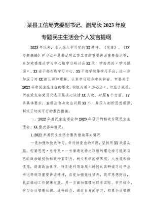 某县工信局党委副书记、副局长2023年度专题民主生活会个人发言提纲.docx
