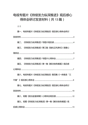 电视专题片《持续发力纵深推进》观后感心得体会研讨发言材料（共13篇）.docx