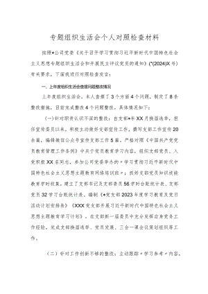 3篇2023-2024年度国企公司党支部专题组织生活会四个方面普通党员个人对照检查材料.docx
