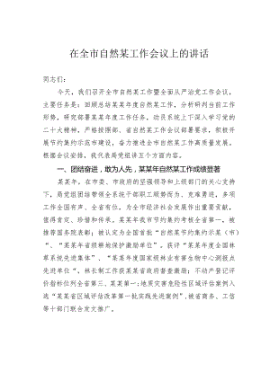 在全市自然某工作会议上的讲话.docx