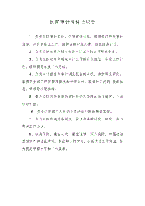 医院审计科科长职责.docx