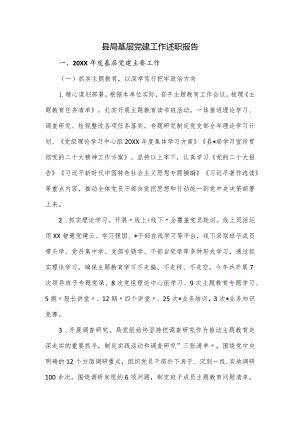 县局基层党建工作述职报告.docx