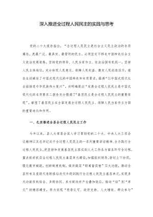 深入推进全过程人民民主的实践与思考.docx
