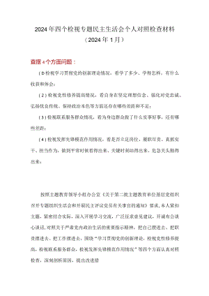 班子检视发挥先锋模范作用情况方面存在的问题.docx
