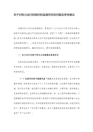 关于对权力运行的制约和监督存在的问题及思考建议.docx