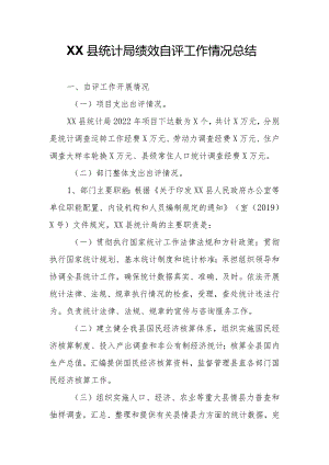 XX县统计局绩效自评工作情况总结.docx