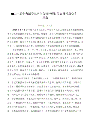8篇二十届中央纪委三次全会精神研讨发言材料及心得体会.docx