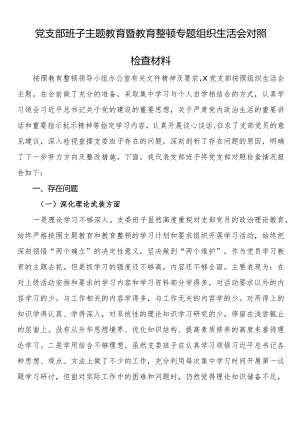 党支部班子主题教育暨教育整顿专题组织生活会对照检查材料 .docx