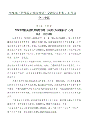 2024年《持续发力纵深推进》交流发言材料、心得体会共十篇.docx
